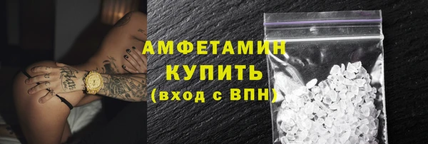 прущие грибы Бородино