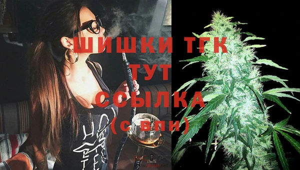 ешки Бронницы