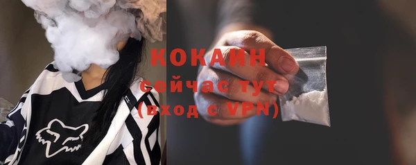 прущие грибы Бородино