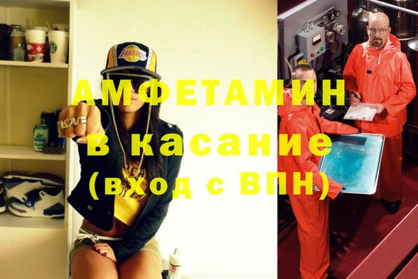прущие грибы Бородино