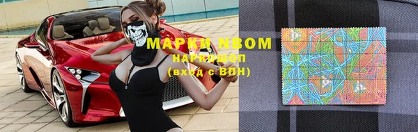 прущие грибы Бородино