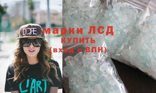 прущие грибы Бородино