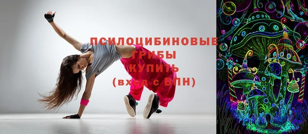 прущие грибы Бородино