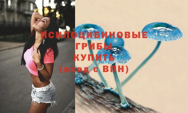 амфетамин Богородск